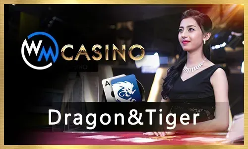 PH365 Sports Betting